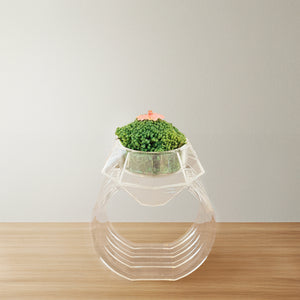 コケ★翡翠(ひすい)＋桜花
